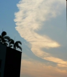 Edelweiss Park Condominium (D17), Condominium #162965192